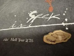 iri Seek Tour Tシャツ PEPPER L Pinsセット