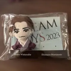 【新品未使用】DREAM BOYS ドリボ ちびぬい 渡辺翔太　SnowMan