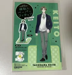 多聞くん今どっち!? 坂口桜利 漫画購入特典 ペーパーフィギュア最終