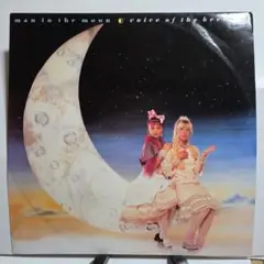 Voice Of The Beehive Man In The Moon