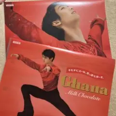 Item thumbnail for item 13a43502-0244-44a5-a233-fde7e8bd0034