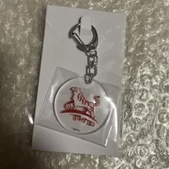 新品 未使用 ハイキュー Vリーグ アクリル キーホルダー コレクション 12点 メルカリ