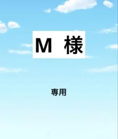 アメステシール M様