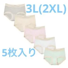 ✨️新品✨️ショーツ レディース 5枚組 2XL