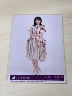 乃木坂46 大越ひなの　生写真　ビリヤニ　封入