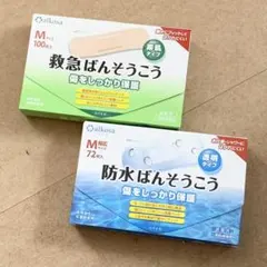 Item thumbnail for item 13da54be-e5ca-4a91-b83b-e4c3d95b7e0b