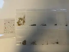 ネイルパーツ　まとめ売り　スワロフスキー　メタルパーツゴールド