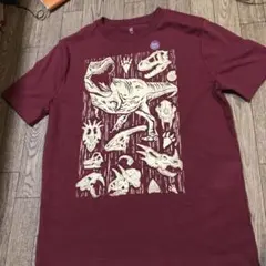 【新品】GAP 男子半袖Tシャツ 160（XXL）