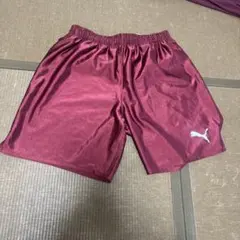 Puma バーガンディ ハーフパンツ