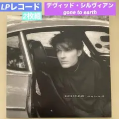 The Black Dog テクノ名盤セット (レコードx2) - メルカリ