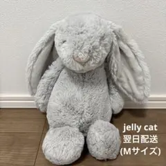 Item thumbnail for item bf3afb24-071d-4ab6-915f-a6259e0683cd