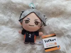 ハイキュー!! みにコレ！ぬいぐるみマスコット 菅原孝支