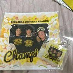 【未使用品】 阪神タイガース リーグ優勝記念ビールかけグッズセット