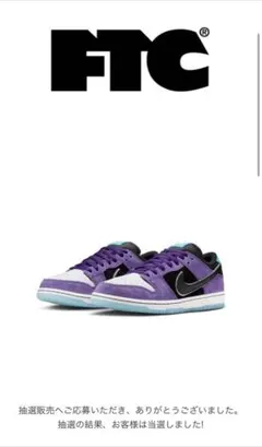 Hayley Wilson × Nike SB Dunk Low Pro