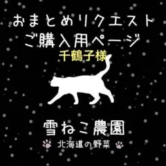 千鶴子様 リクエスト 2点 まとめ商品（天津青長２０粒、札幌大球１０粒）