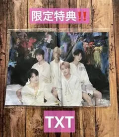 新品⚫︎txt トゥバ　限定特典　タペストリー　weverse