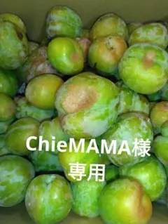 ChieMAMA様　専用出品です。