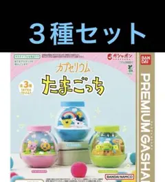 たまごっち　カプセリウム　ガチャ ３種類　コンプ　まめっち　みみっち　くちぱっち