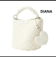 極美品 DIANA 2WAY イントレチャート メッシュ編みバッグ ショルダーのサムネイル