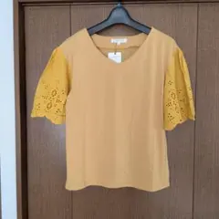 Item thumbnail for item 8e01e336-fa63-4f70-b525-585a6aad239d