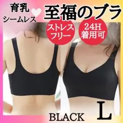 ▽ブラック L 育乳ブラ ナイトブラ シームレスブラ 極楽 補正下着 美胸180