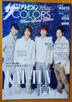 ザテレビジョンCOLORS vol.4 WHITE 2014年1月24日号増刊