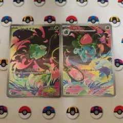 フシギダネ　フシギソウ　AR