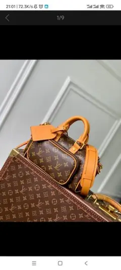 Louis Vuitton ビジネスバッグ ブラウン/オレンジ