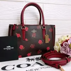 希少✨極美品✨コーチ チャーリー キャリーオール 2way シグネチャー 