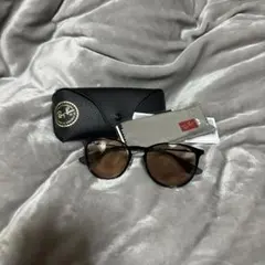 Ray-Ban ERIKA METAL EVOLVE