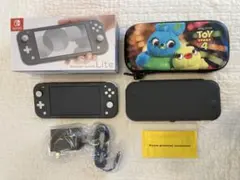 Nintendo Switch Lite グレー 本体 充電器・ケースおまけ付き