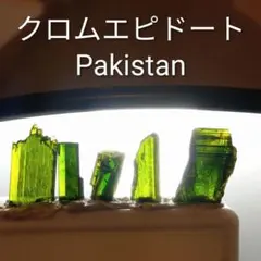 どど様 リクエスト 2点 まとめ商品