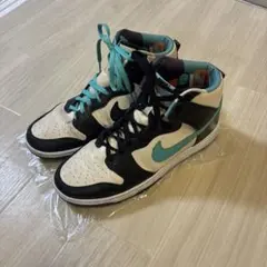 超美品】NIKE Dunk High (27.0)y2k - メルカリ
