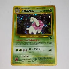 旧裏ポケカNEO マグマラシ LV.30 マーク⑬チコリータ イントロパック