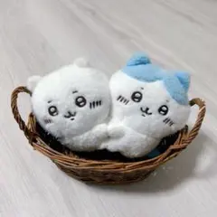 ハンドル付きバスケット