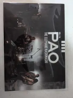 2026年最新】エレファントカシマシ paoの人気アイテム - メルカリ