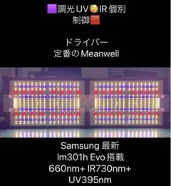 Item thumbnail for item 58906fc5-396f-48a2-9380-92b974f332f5