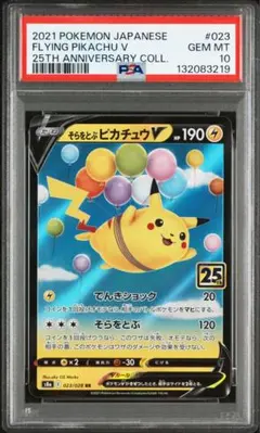 2025年最新】そらをとぶピカチュウ psa10の人気アイテム - メルカリ