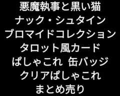 あくねこ ナック 缶バッジ ブロマイド ぱしゃこれ タロット風カード まとめ売り