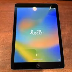 動作確認済 Apple iPad Pro 9.7インチ 本体 128GB