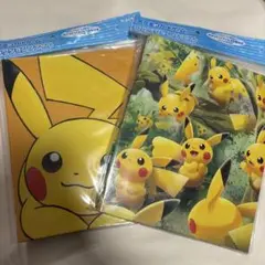 ポケモンカード ピカチュウ イーブイ コレクションファイル 2個セット