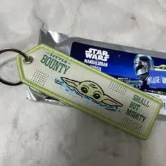 スターウォーズ ザ・マンダロリアン グローグー フライトタグ