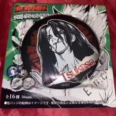 Dr.STONE 獅子王司 台詞缶バッジ アニメイトポイント - メルカリ