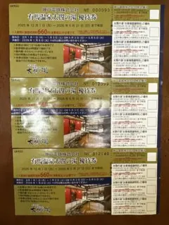 有馬温泉 太閤の湯 優待券 3枚