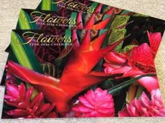 ゆうきのすけ様 リクエスト 2点 まとめ商品