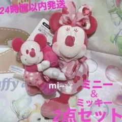 ディズニー パルパルーザミニーファンダーランドミニーミッキー ぬいぐるみチャーム