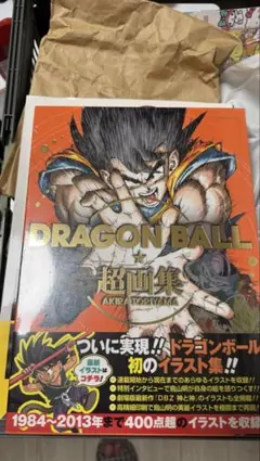 イタジャガ DRAGON BALL Vol.9 2BOX Ritsuさん専用 - メルカリ