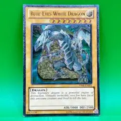 遊戯王　青眼の白龍　レリーフ　英語版　微青 遊戯王 英語 青眼の白龍 YSKR レリーフ レリ ブルーアイズ EXの