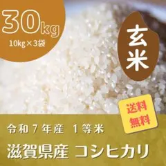 【コシヒカリ】30kg(10kg×3)玄米　令和7年産　送料無料のサムネイル