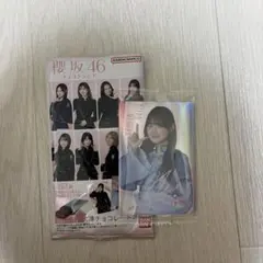櫻坂46 目黒陽色　プラカード